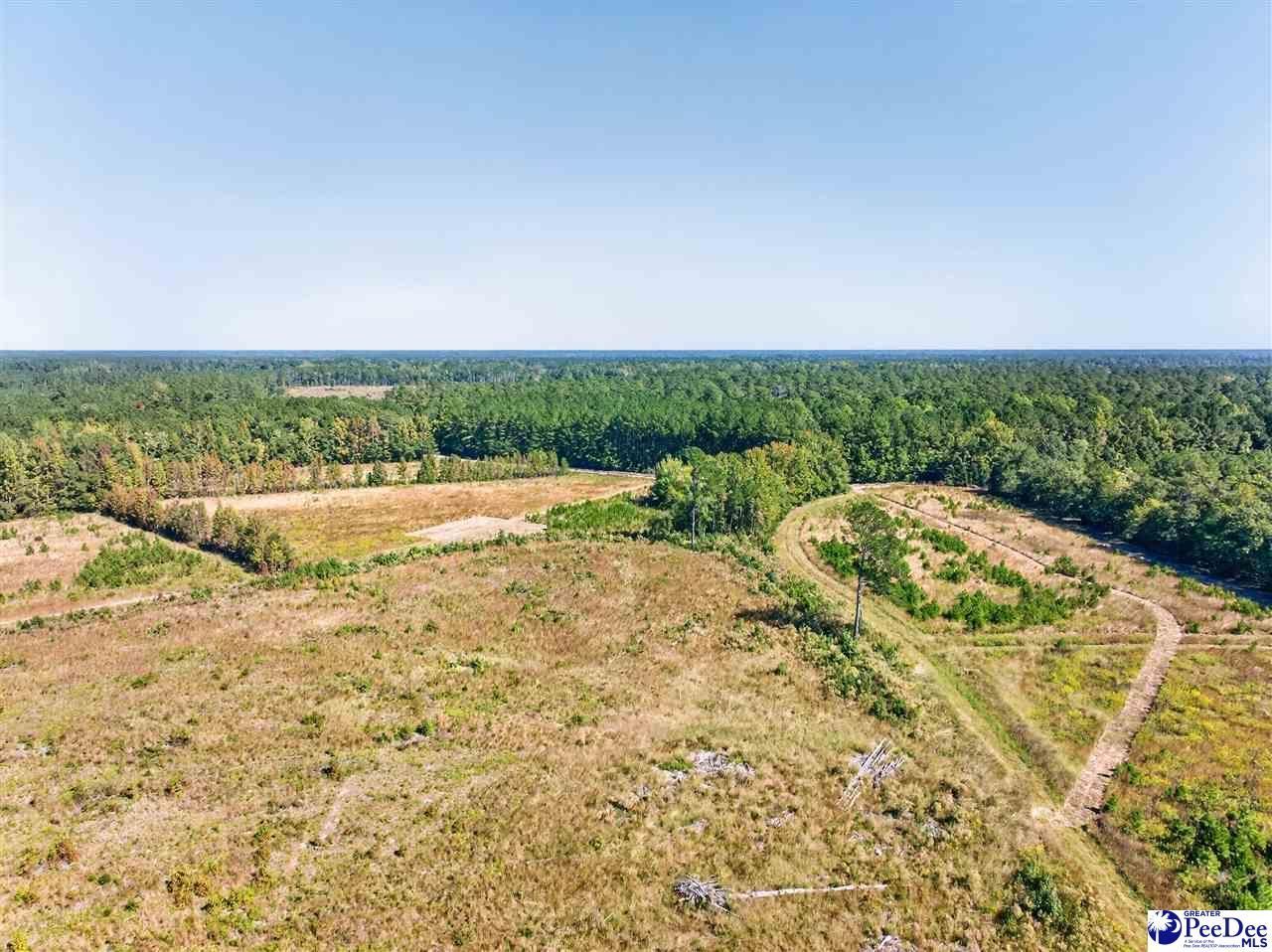 0000 Fowler Rd Lot 2 Photo 4