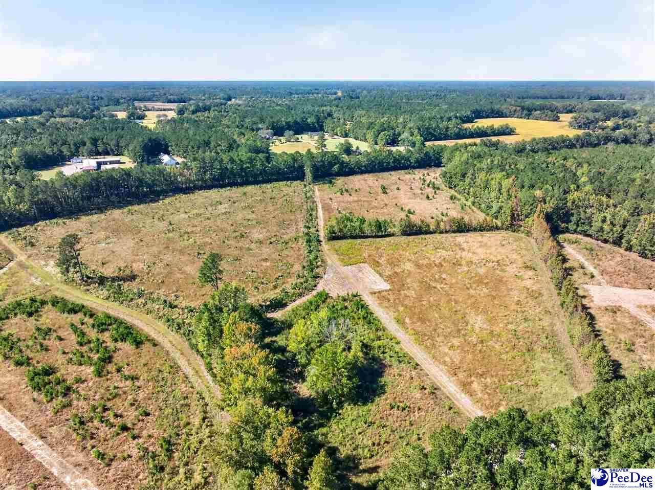 0000 Fowler Rd Lot 2 Photo 5