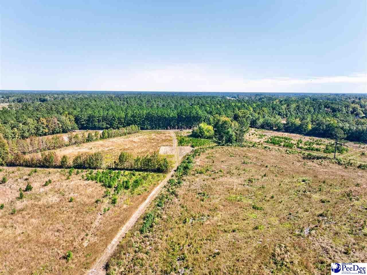 0000 Fowler Rd Lot 2 Photo 6