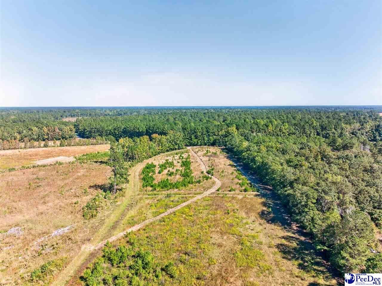 0000 Fowler Rd Lot 2 Photo 8