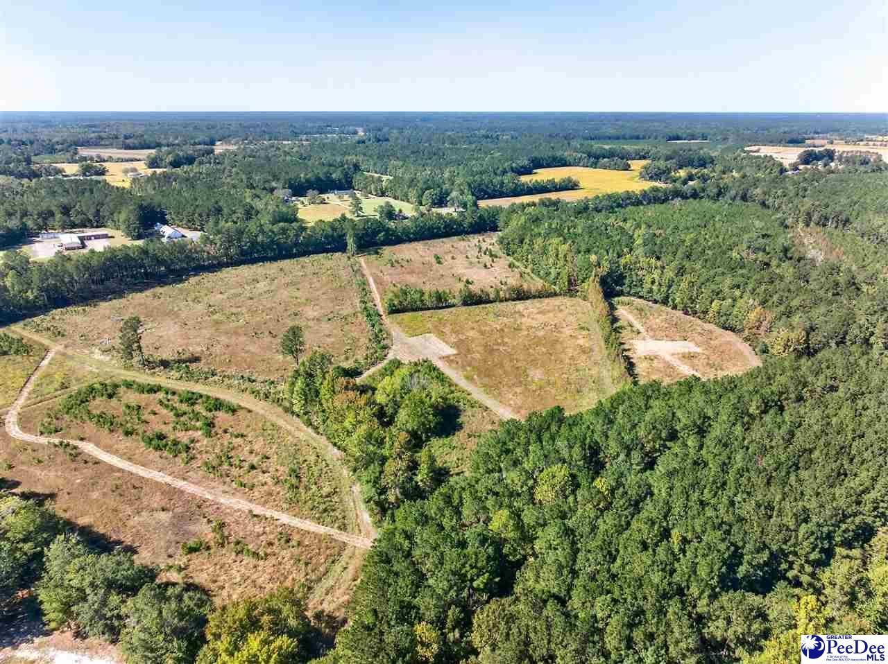 0000 Fowler Rd Lot 2 Photo 9
