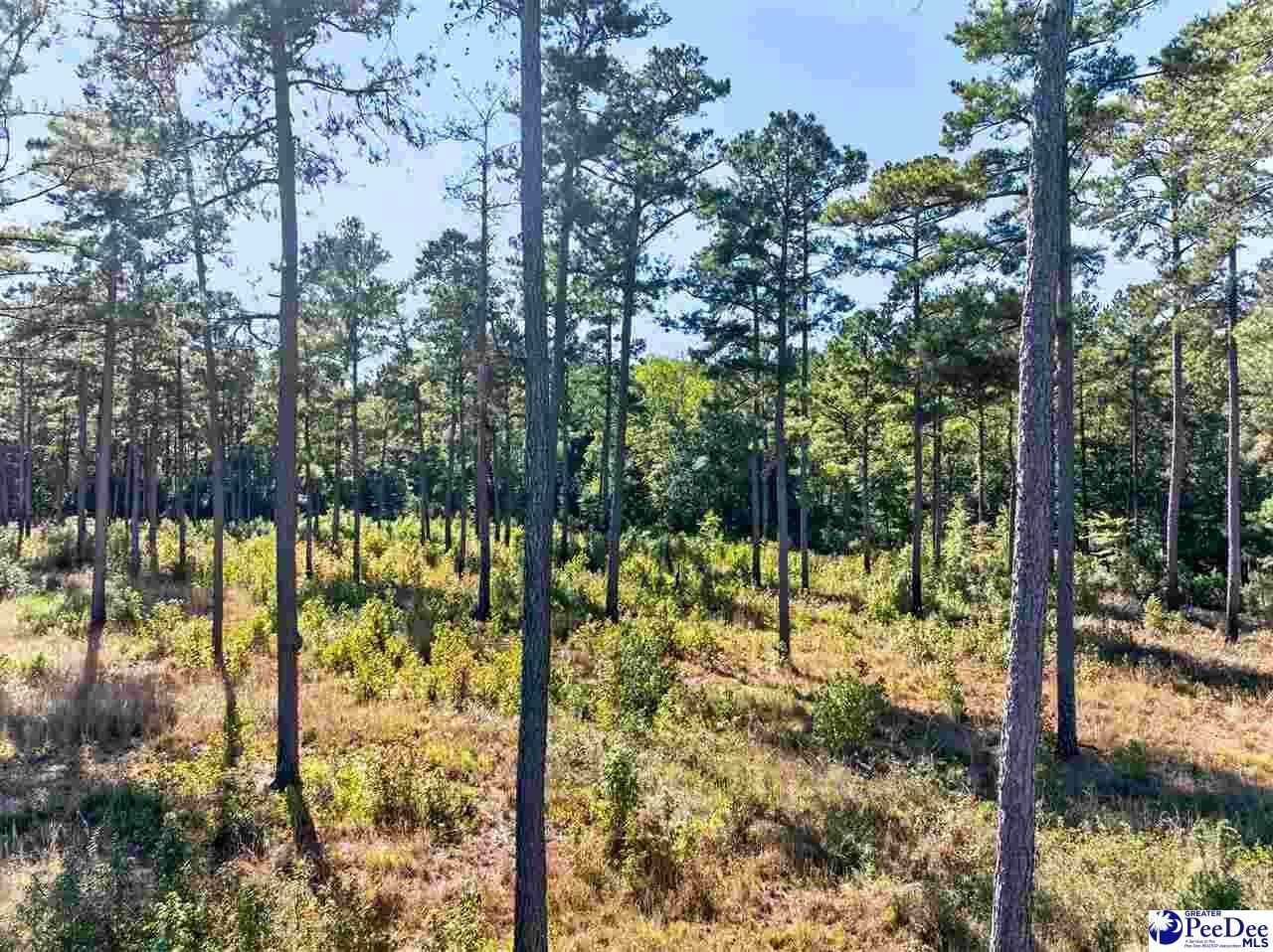 0000 Gause Canal Rd Lot 4 Photo 10