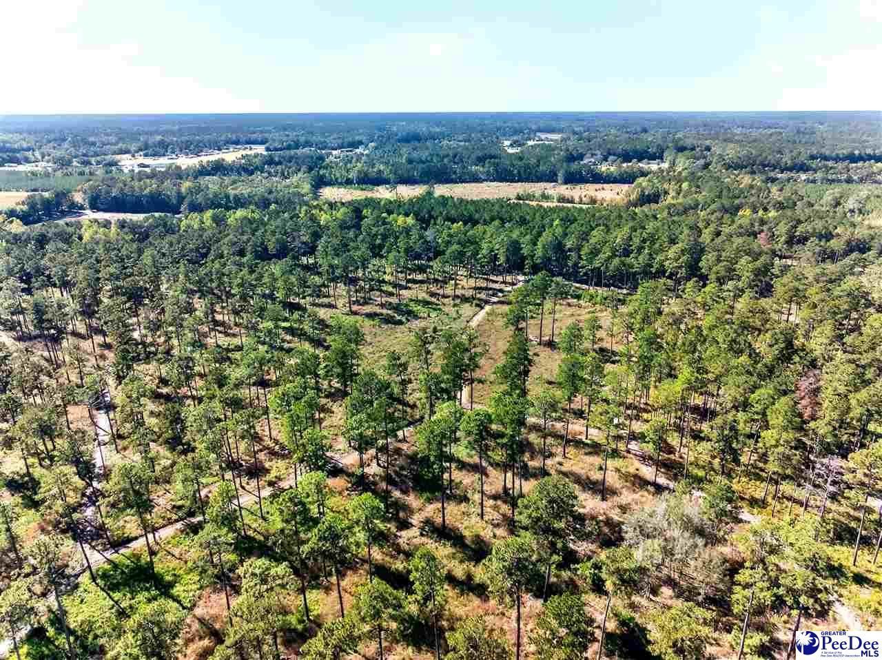 0000 Gause Canal Rd Lot 4 Photo 11