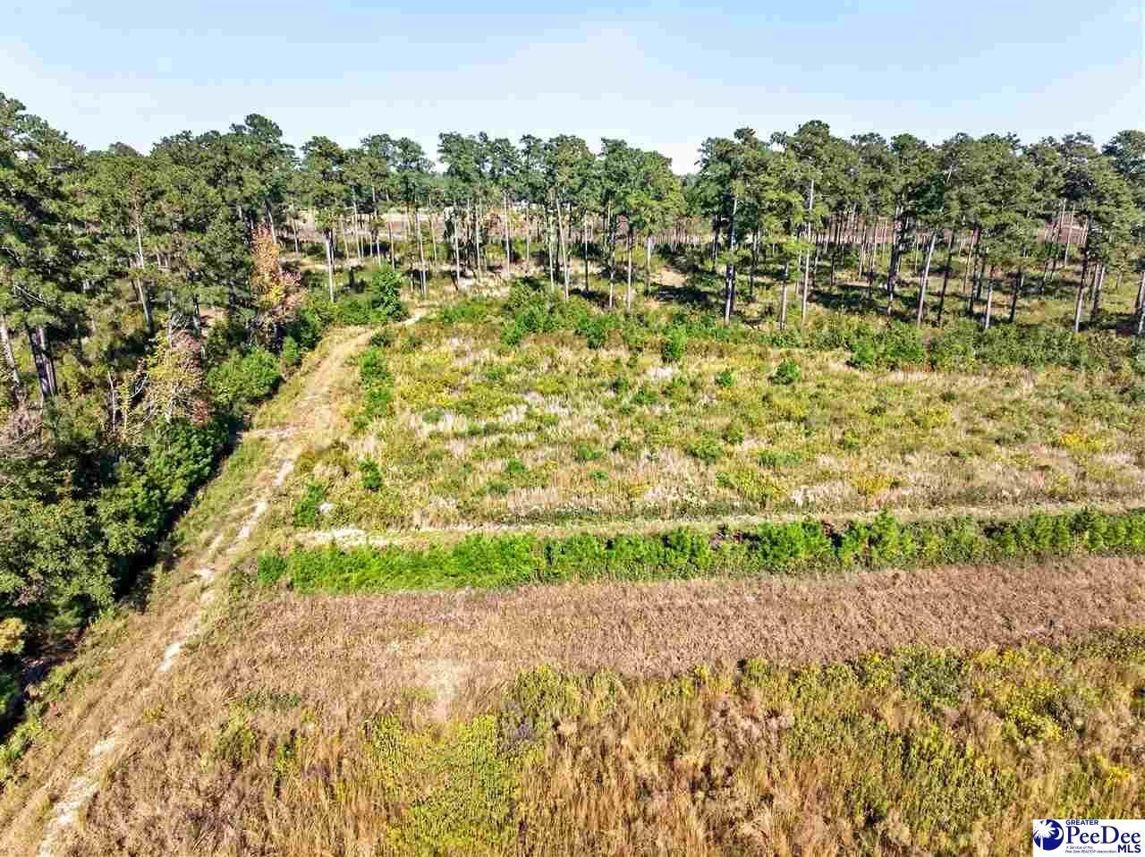 0000 Gause Canal Rd Lot 4 Photo 13