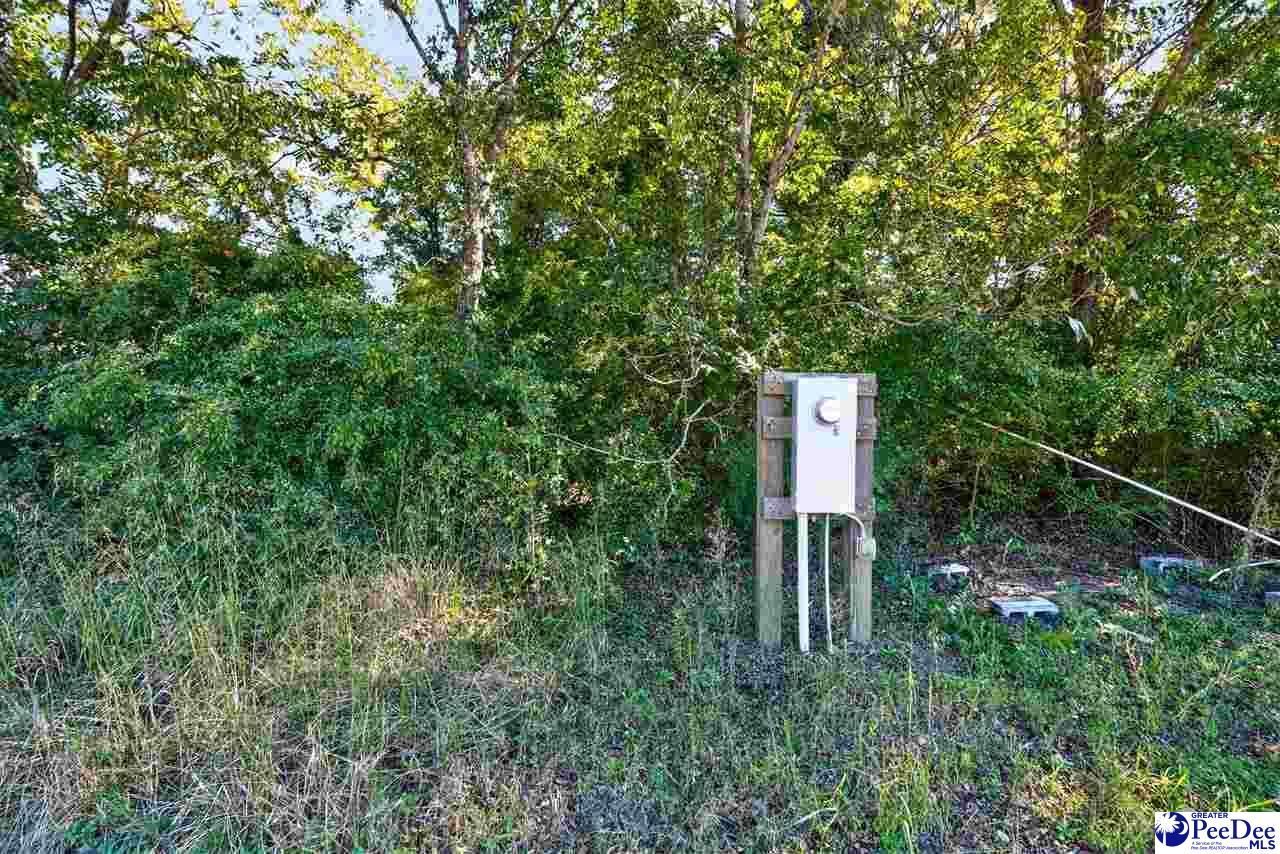 0000 Gause Canal Rd Lot 4 Photo 16