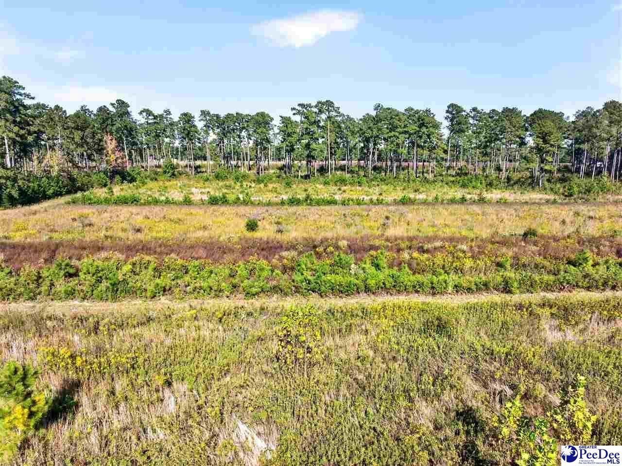 0000 Gause Canal Rd Lot 4 Photo 17