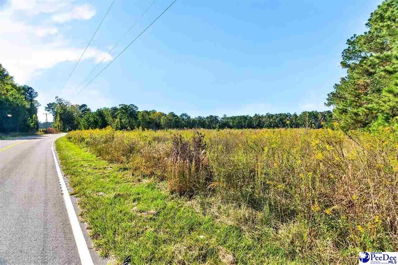 0000 Gause Canal Rd Lot 4 Photo 22
