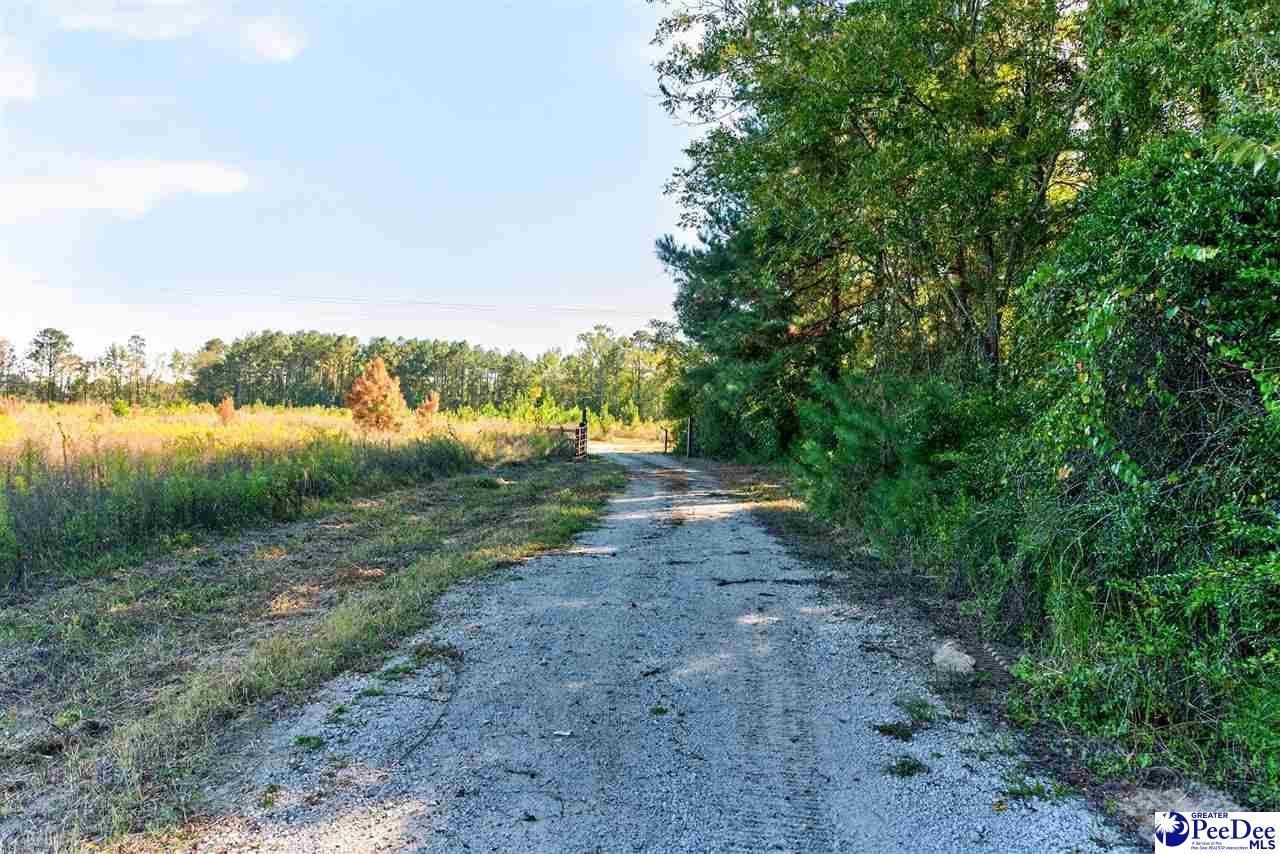 0000 Gause Canal Rd Lot 4 Photo 23