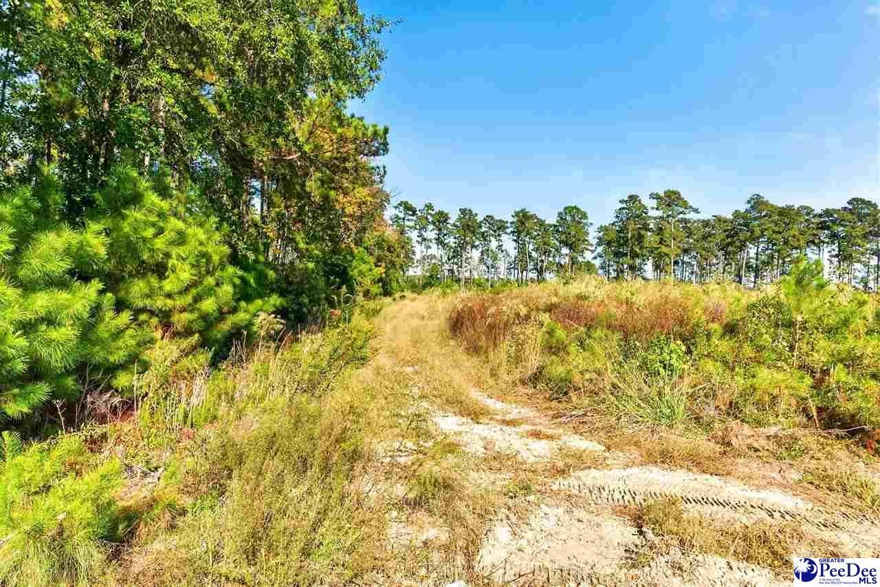 0000 Gause Canal Rd Lot 4 Photo 25