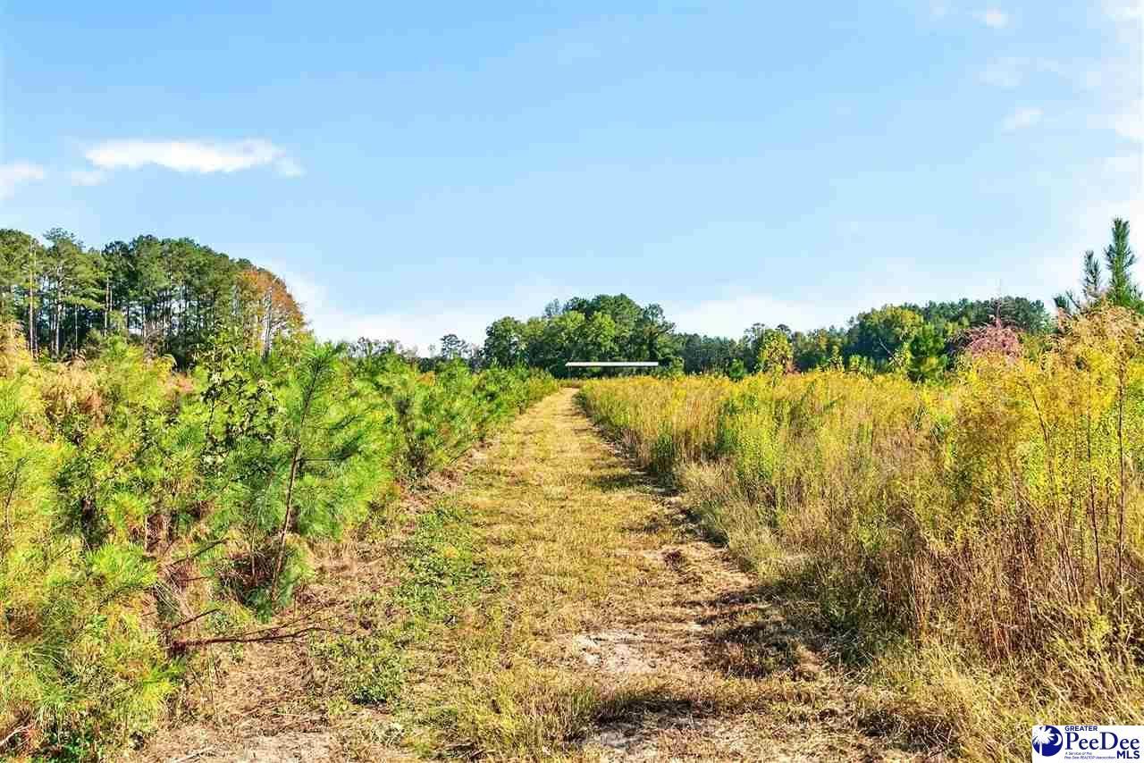 0000 Gause Canal Rd Lot 4 Photo 26