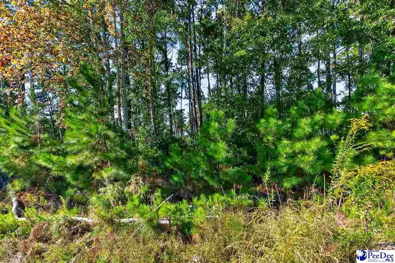 0000 Gause Canal Rd Lot 4 Photo 27