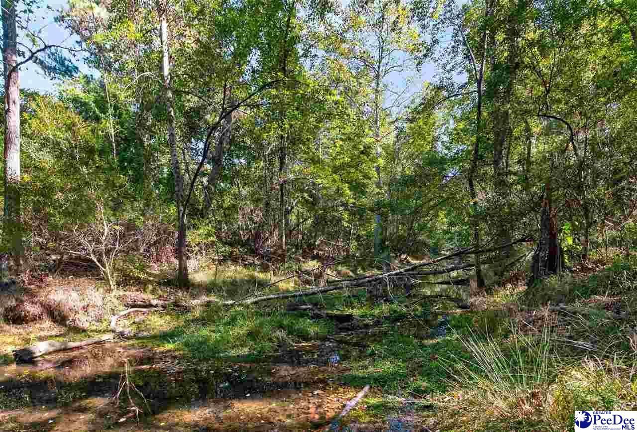 0000 Gause Canal Rd Lot 4 Photo 28