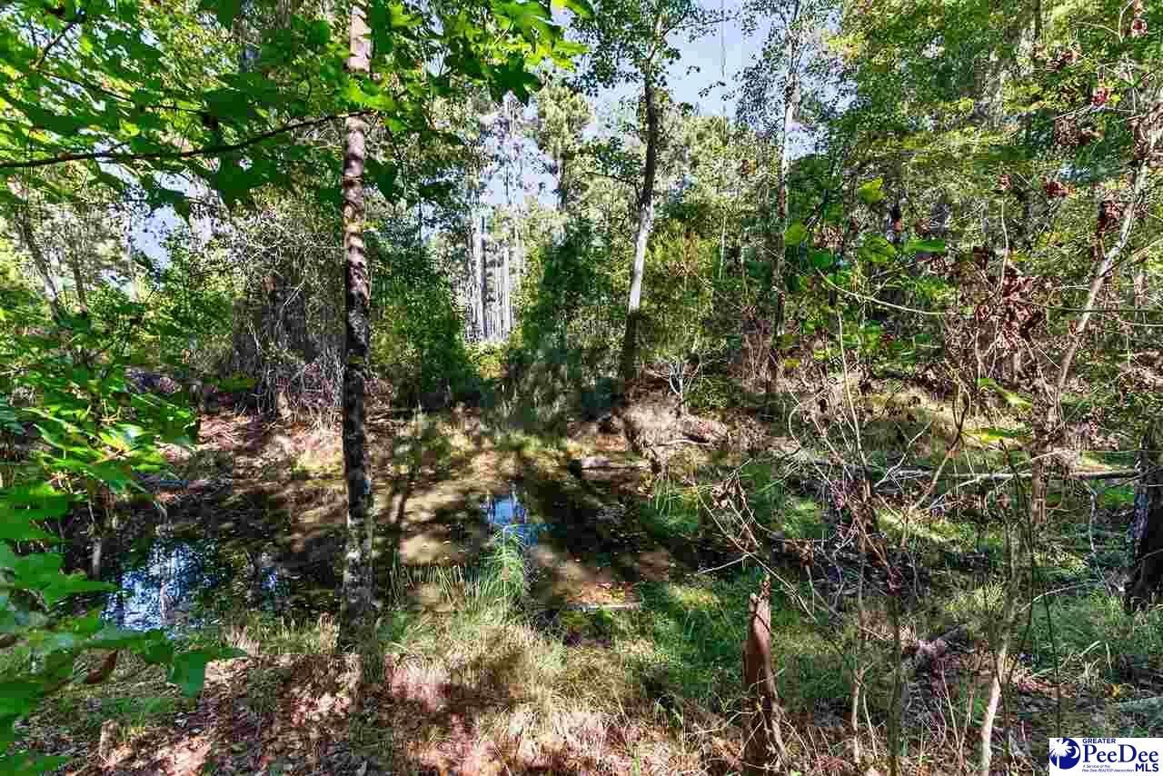 0000 Gause Canal Rd Lot 4 Photo 29