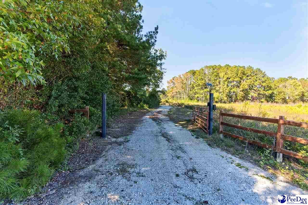 0000 Gause Canal Rd Lot 4 Photo 31