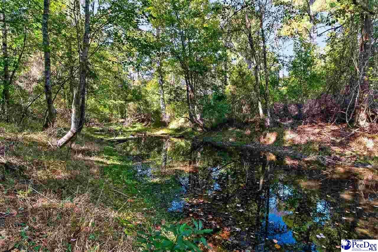 0000 Gause Canal Rd Lot 4 Photo 33