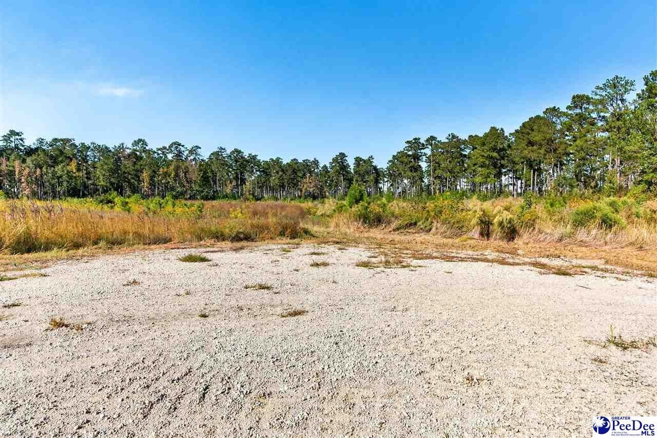 0000 Gause Canal Rd Lot 4 Photo 34