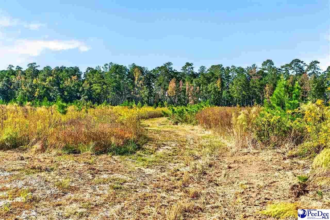 0000 Gause Canal Rd Lot 4 Photo 35