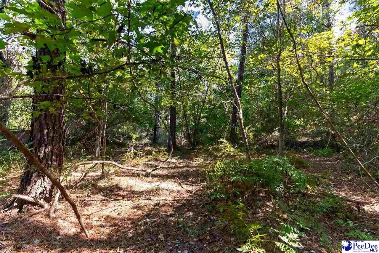 0000 Gause Canal Rd Lot 4 Photo 36