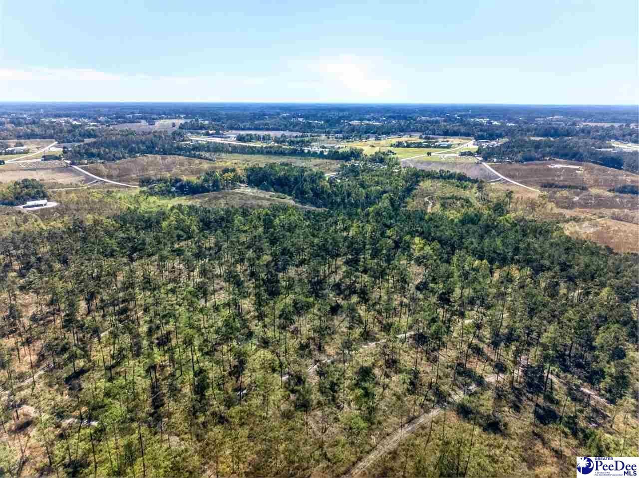 0000 Gause Canal Rd Lot 4 Photo 38