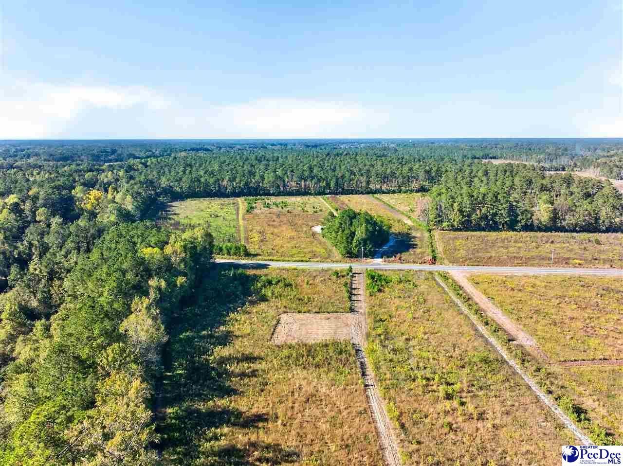 0000 Gause Canal Rd Lot 4 Photo 9