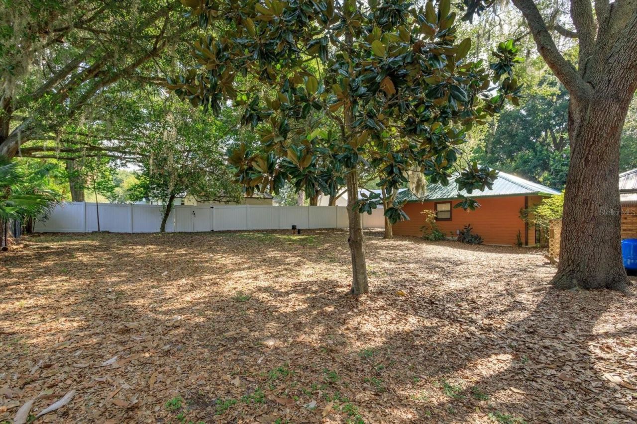 10350 Lake Louisa Road , Clermont, FL 34711 Photo