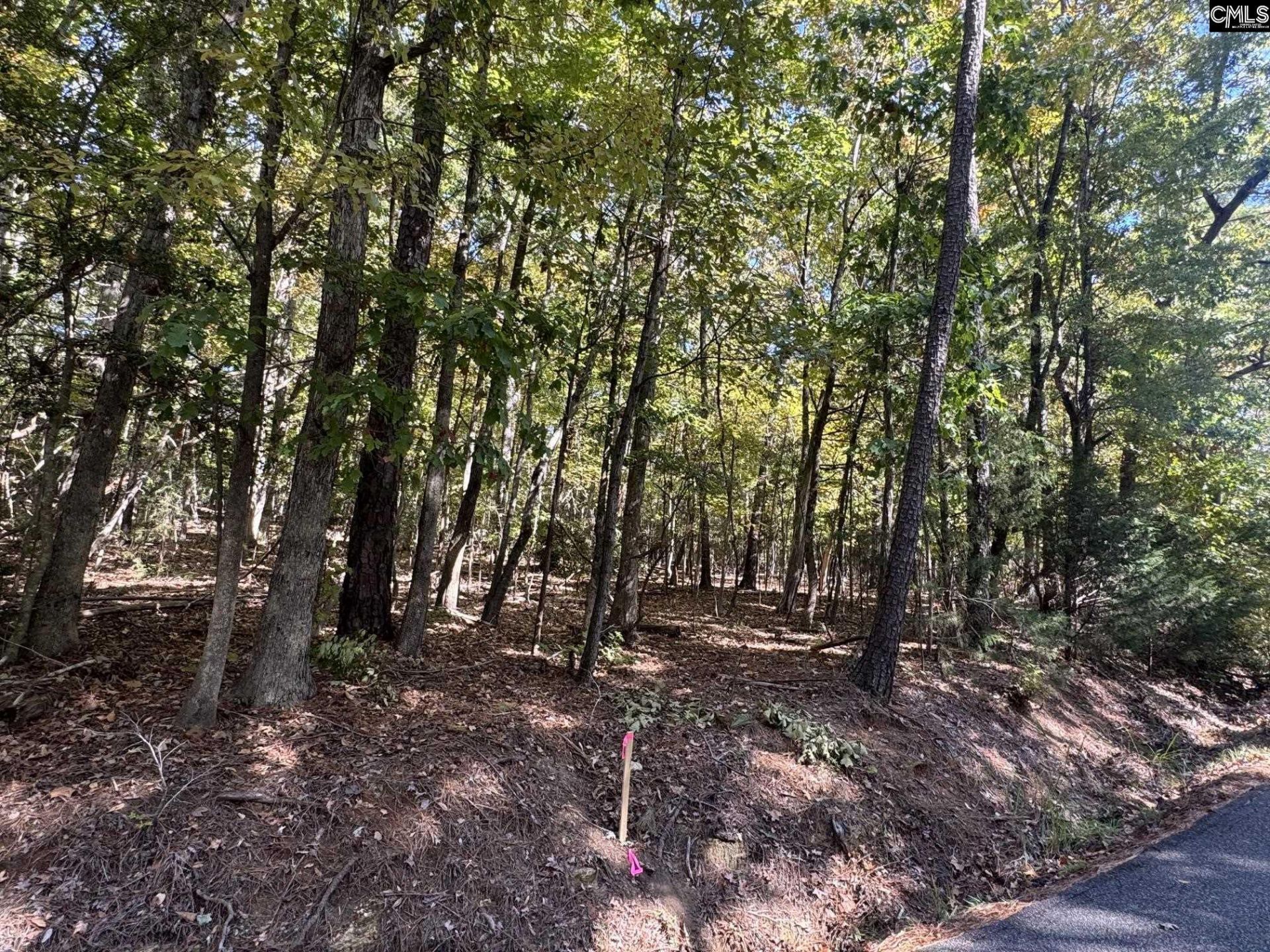 Lot 3 E. Selwood Lane  Photo 4