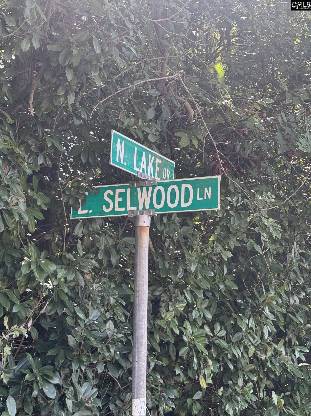 Lot 3 E. Selwood Lane  Photo 5