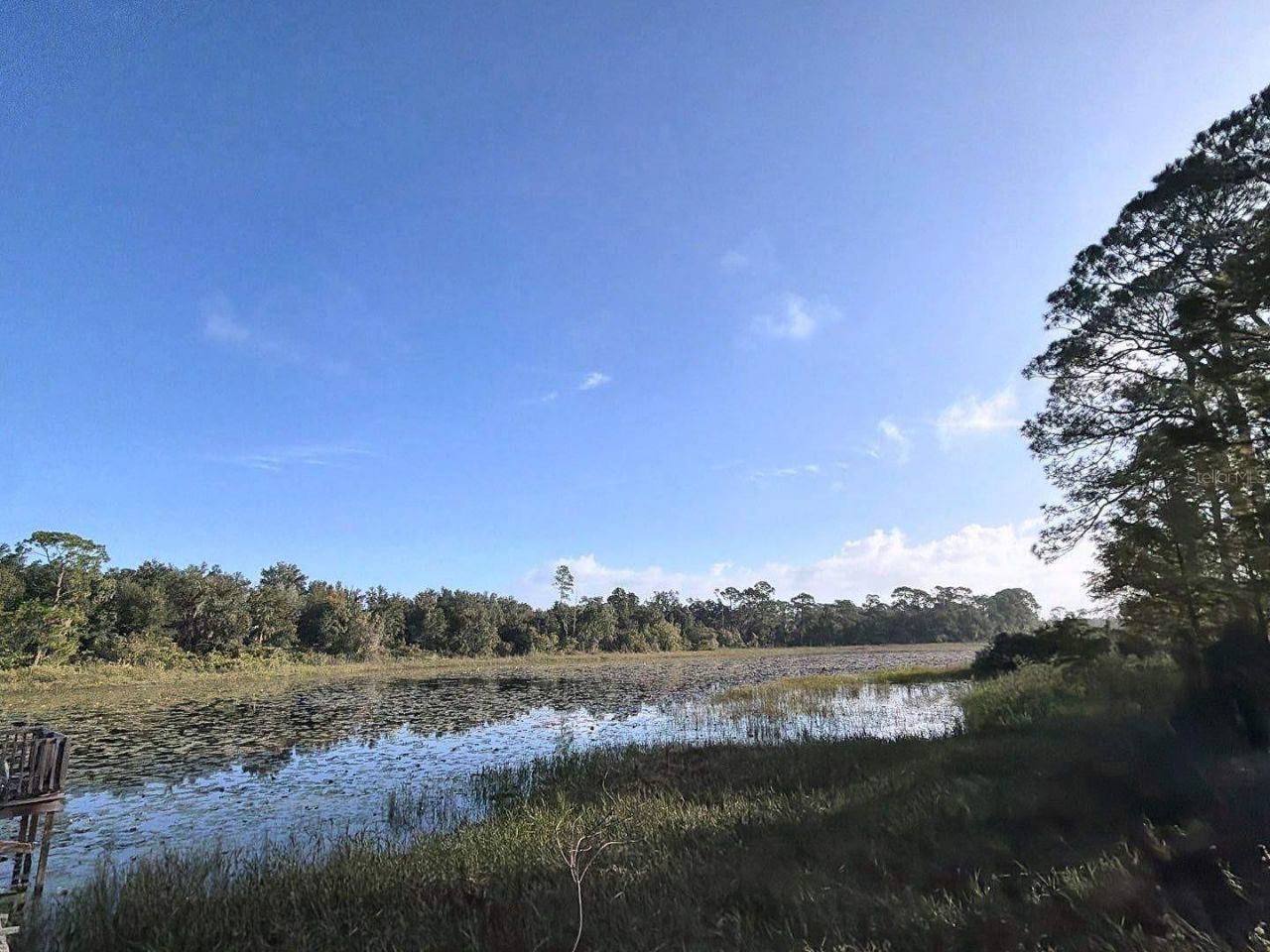 37443 Beach Drive, Umatilla, FL 32784 Photo