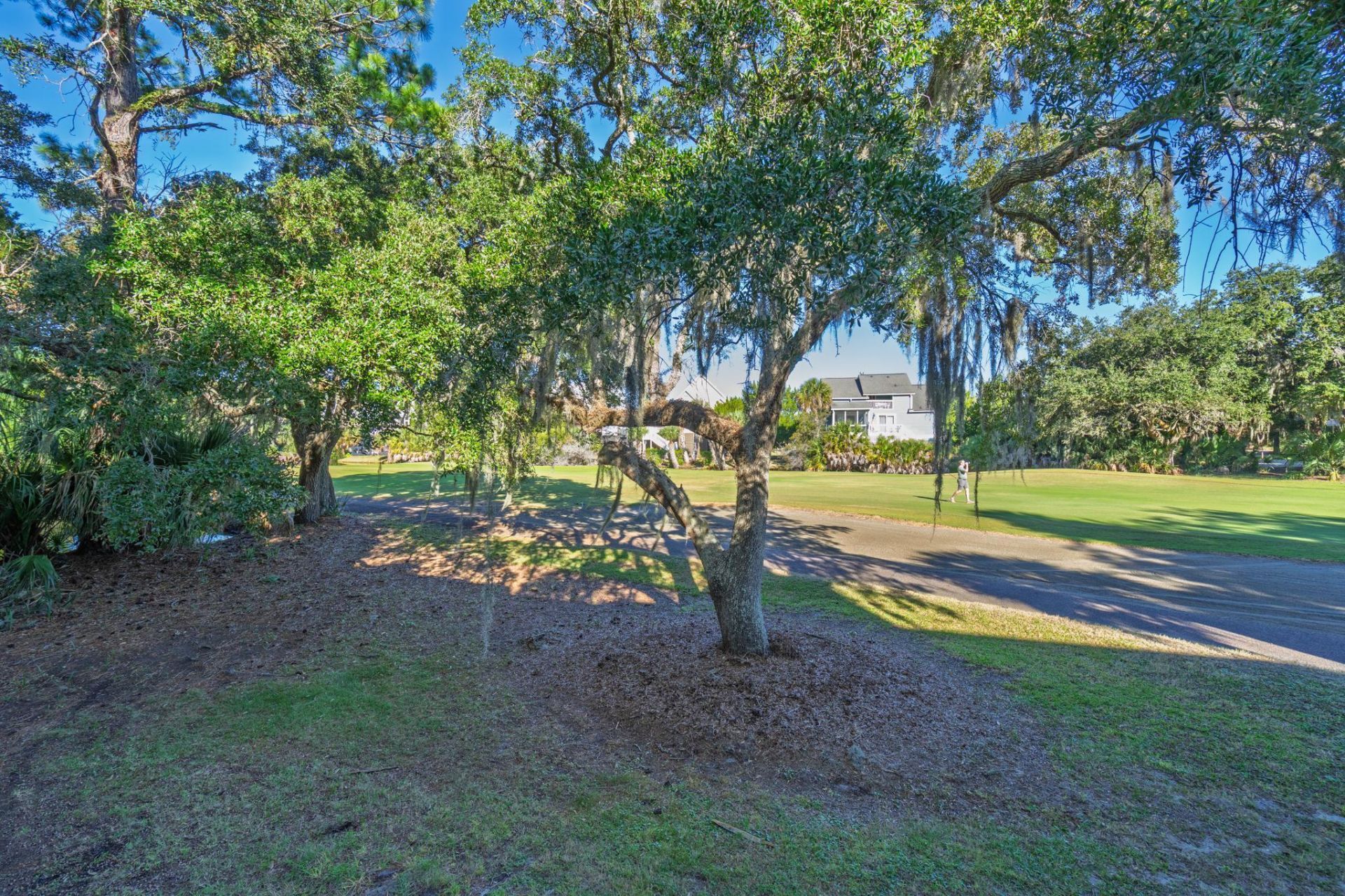 252 Driftwood Lane Photo 29