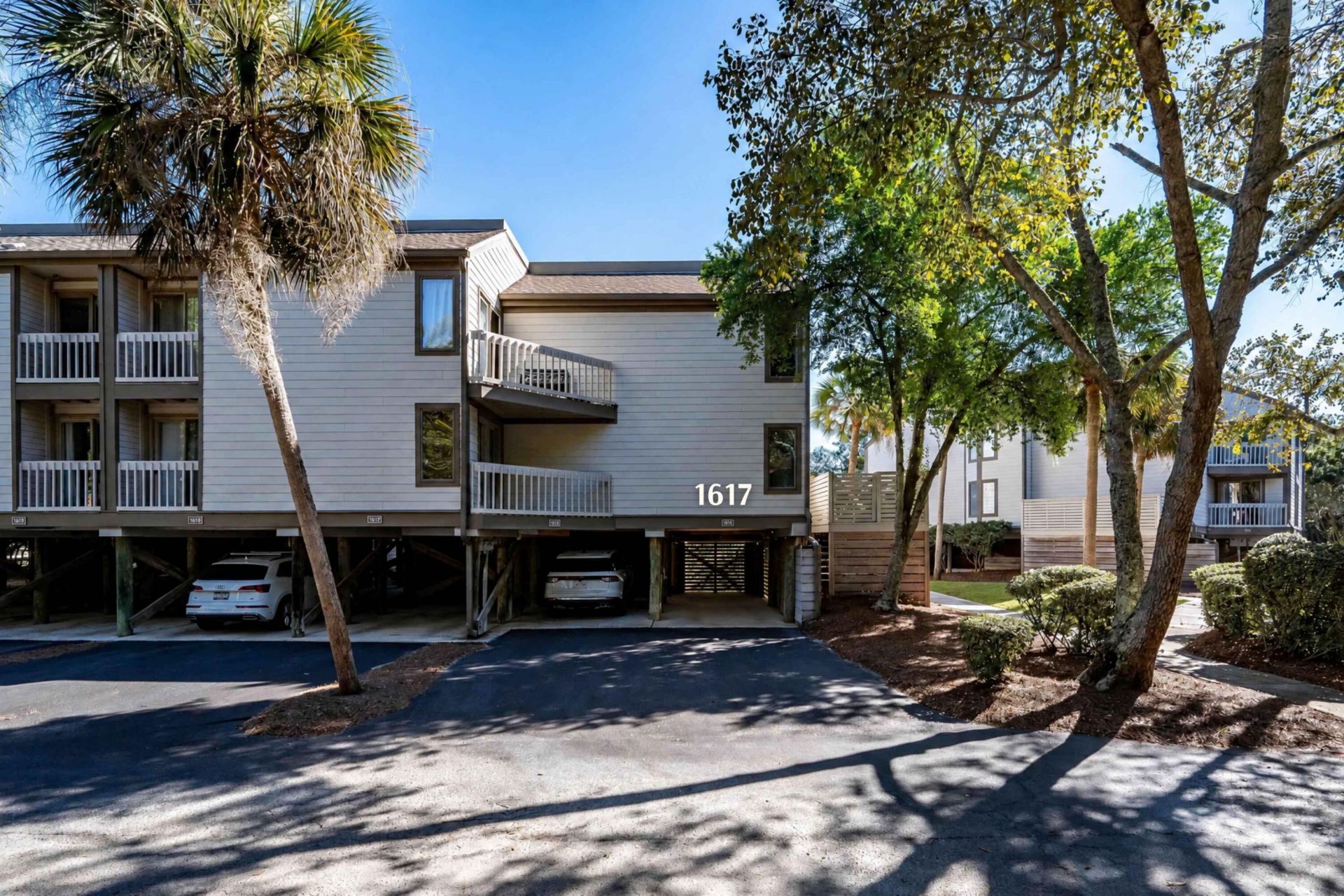 1617 Live Oak Park Photo 16