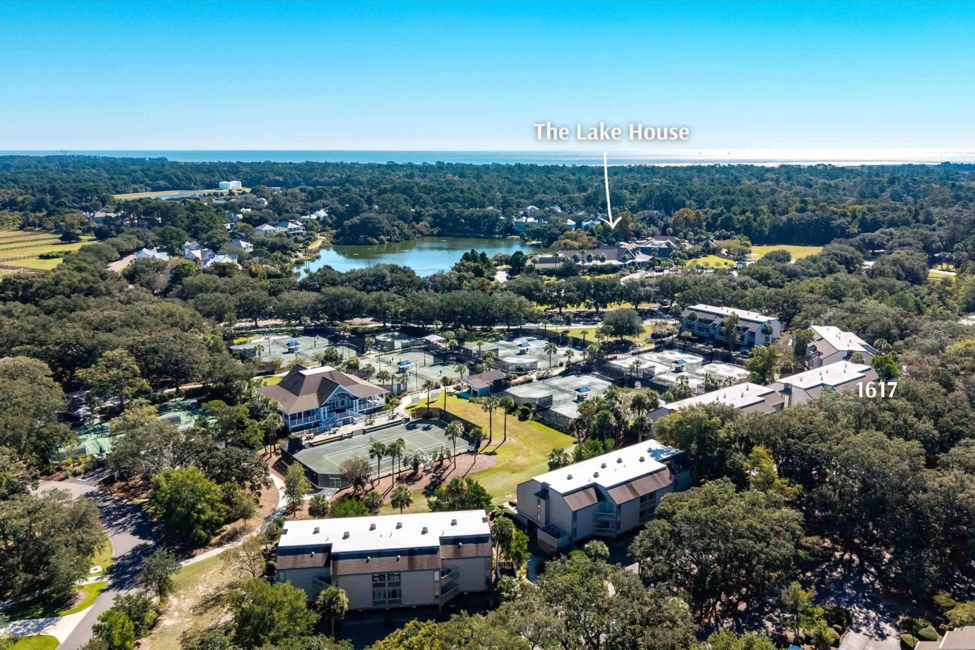 1617 Live Oak Park Photo 17