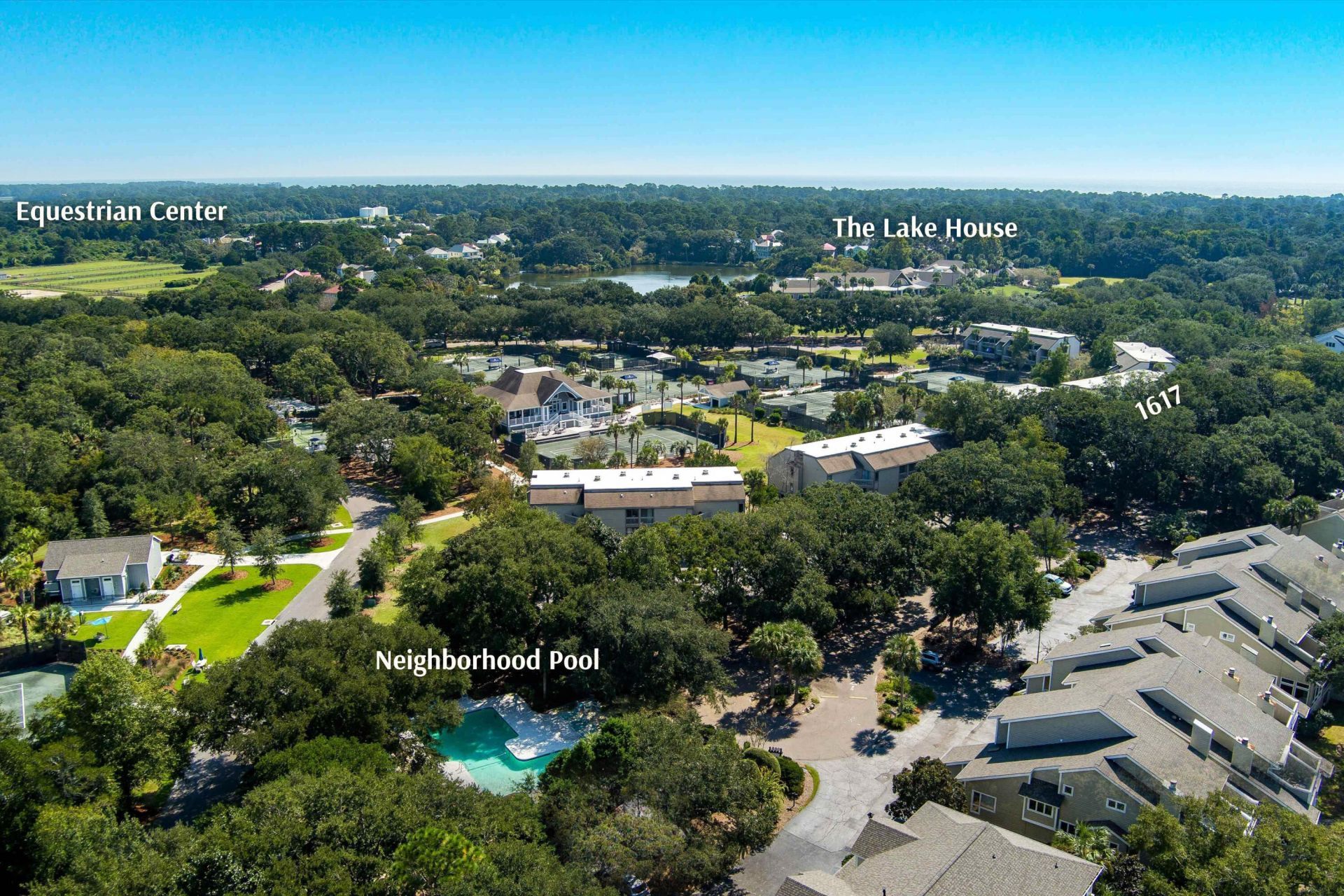 1617 Live Oak Park Photo 21