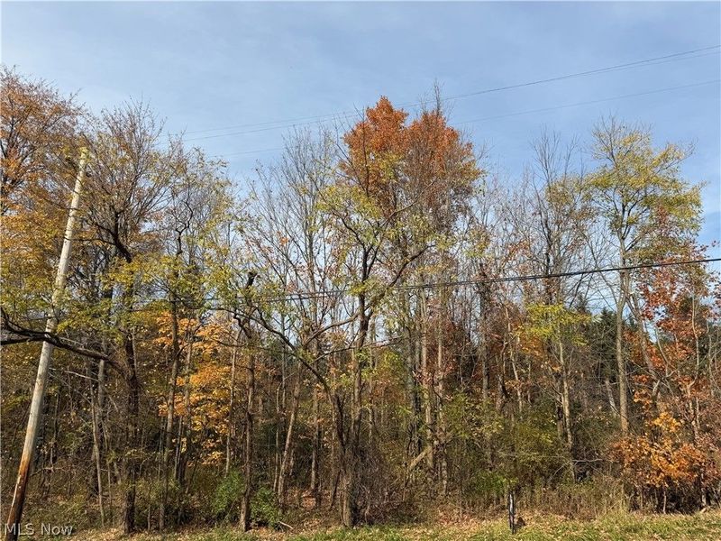 Butternut Road , Burton, OH 44021 Photo 2