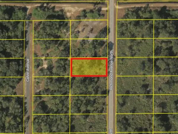 1517 RICHMOND AVENUE N, LEHIGH ACRES, FL 33972
