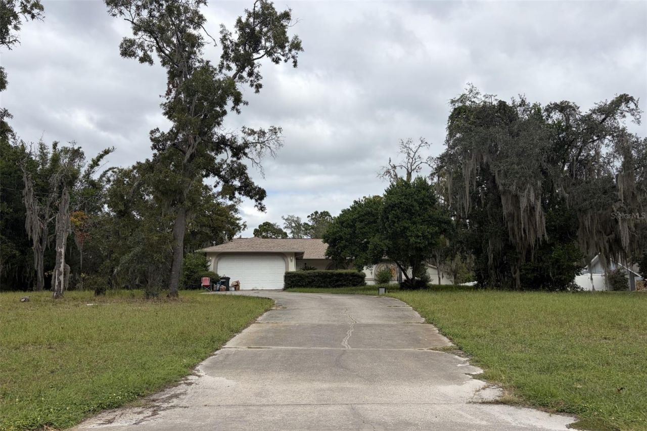 12517 Coffee Hill Row, Hudson, FL 34667 Photo