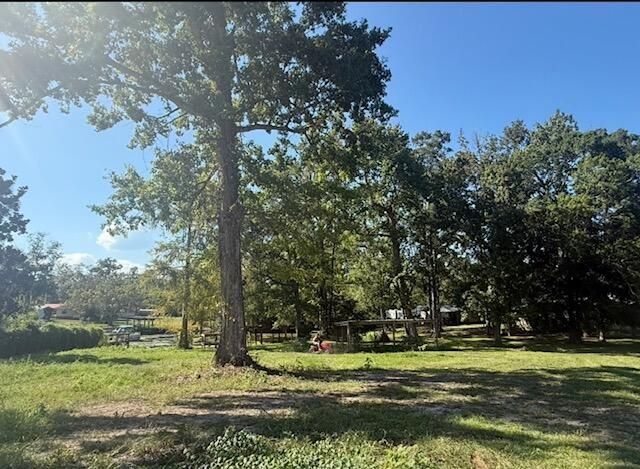 114 Roosevelt Drive Photo 13