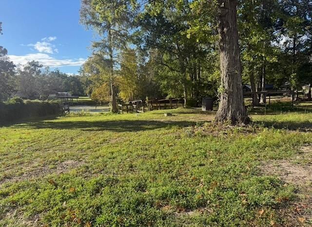 114 Roosevelt Drive Photo 5