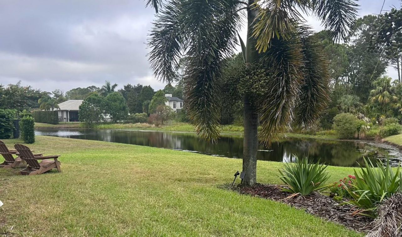 3730 Jacmel Way, Palm Harbor, FL 34685 Photo
