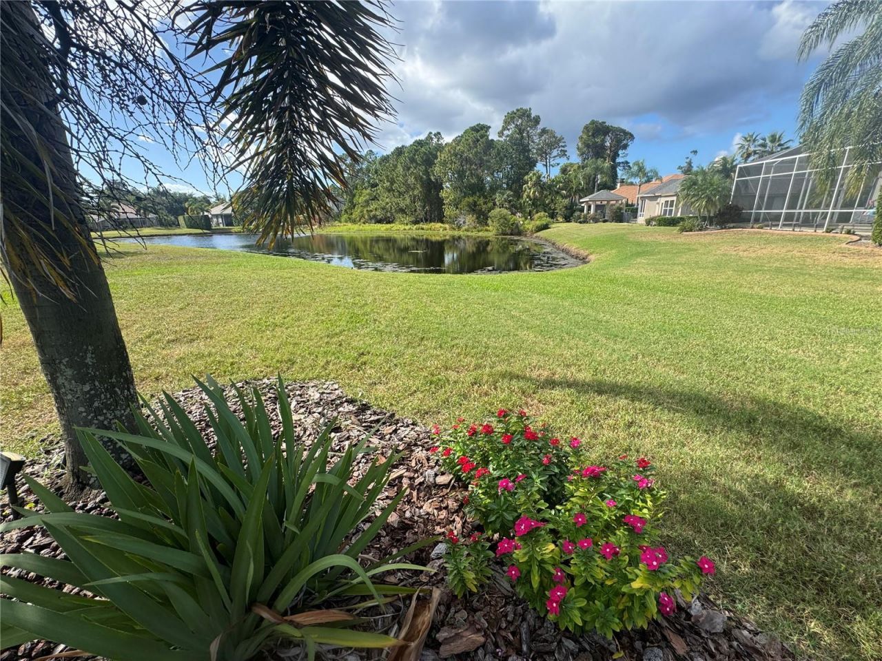 3730 Jacmel Way, Palm Harbor, FL 34685 Photo