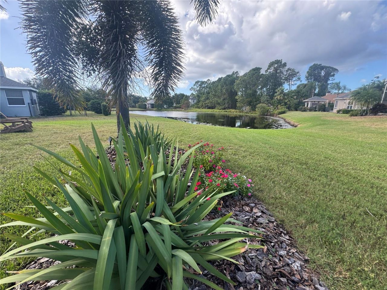 3730 Jacmel Way, Palm Harbor, FL 34685 Photo