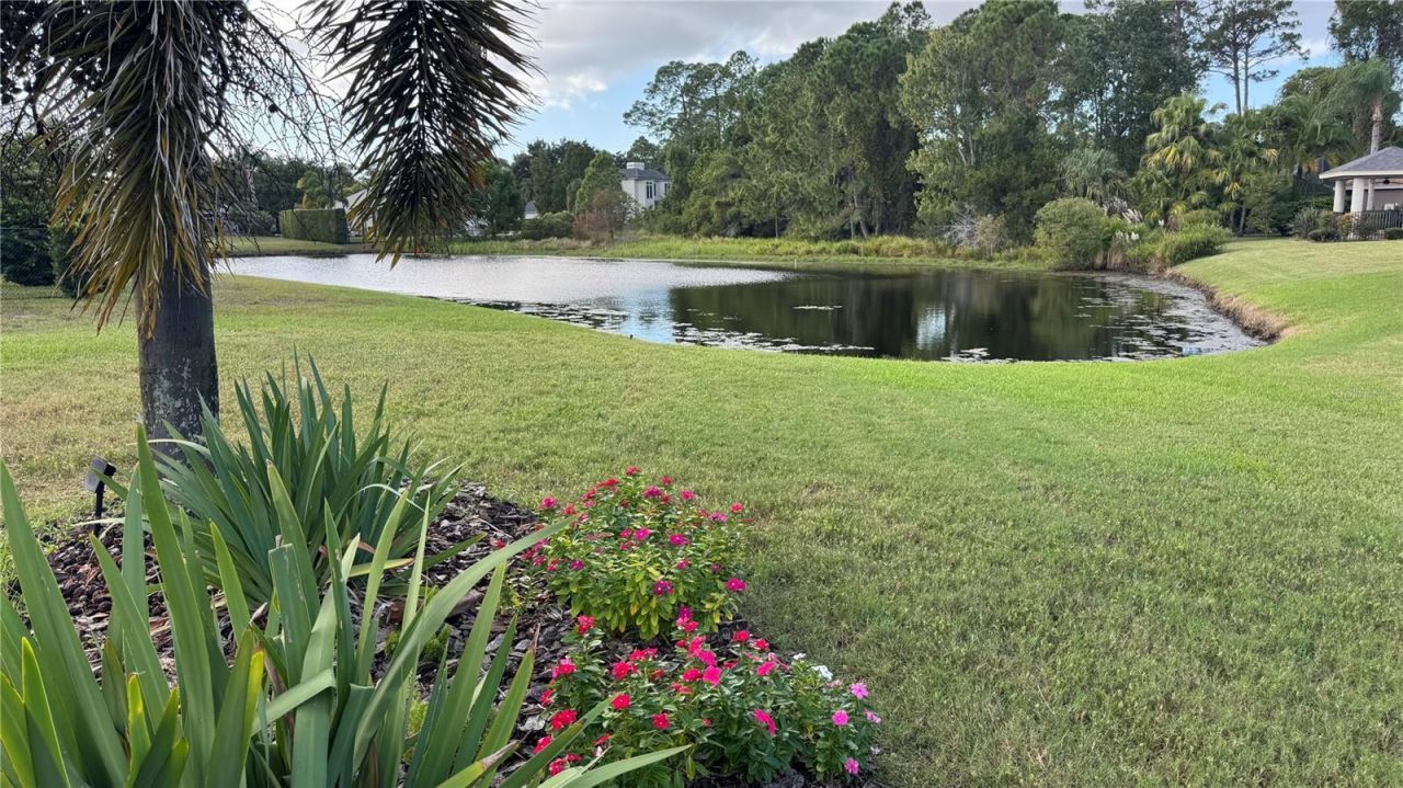 3730 Jacmel Way, Palm Harbor, FL 34685 Photo