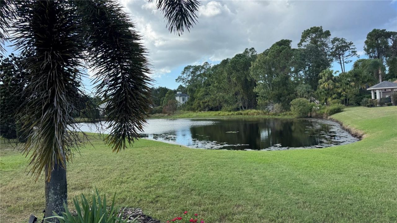3730 Jacmel Way, Palm Harbor, FL 34685 Photo