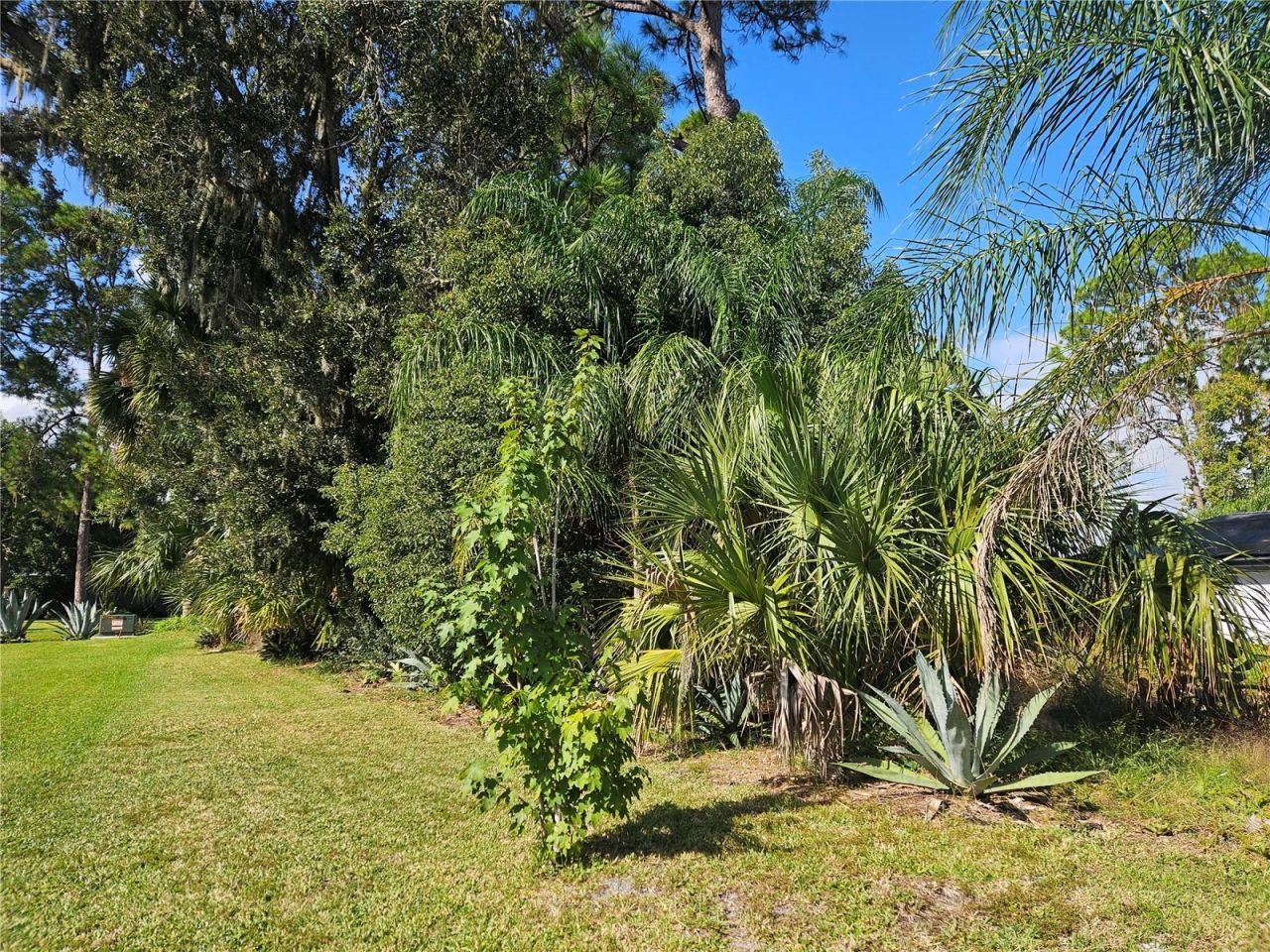 Pine Tree Drive, Edgewater, FL 32141 Photo