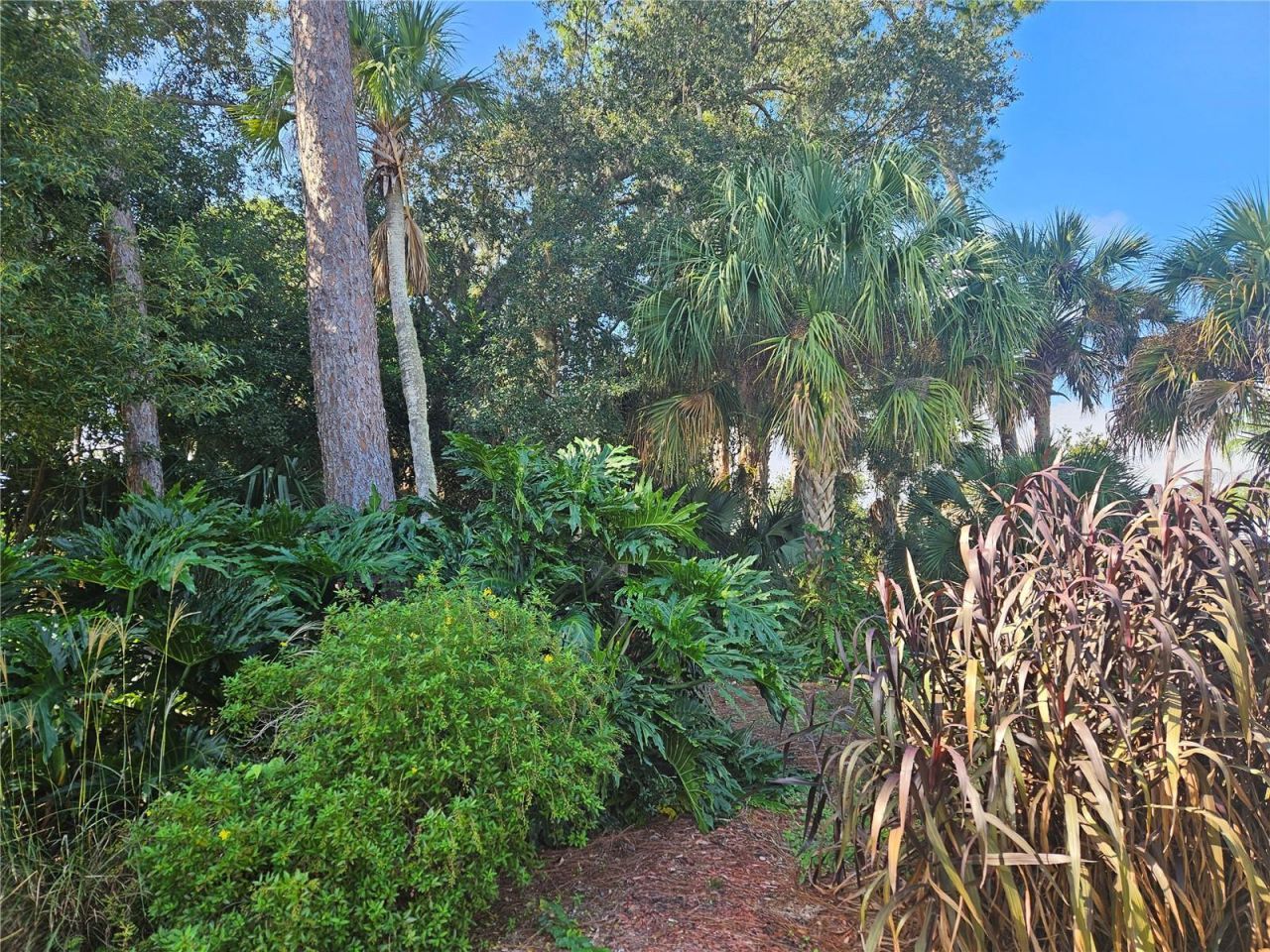 Pine Tree Drive, Edgewater, FL 32141 Photo