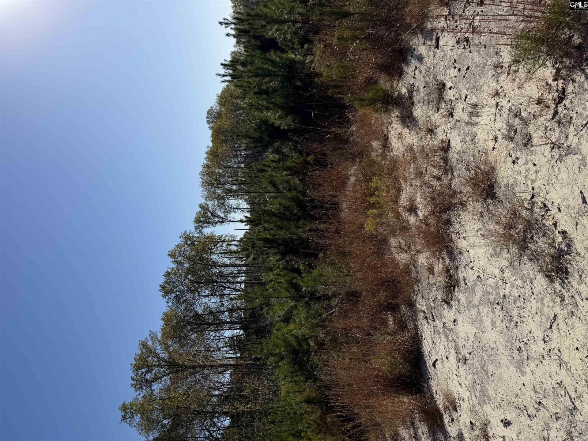 Tbd Platt Springs Rd  Photo 4