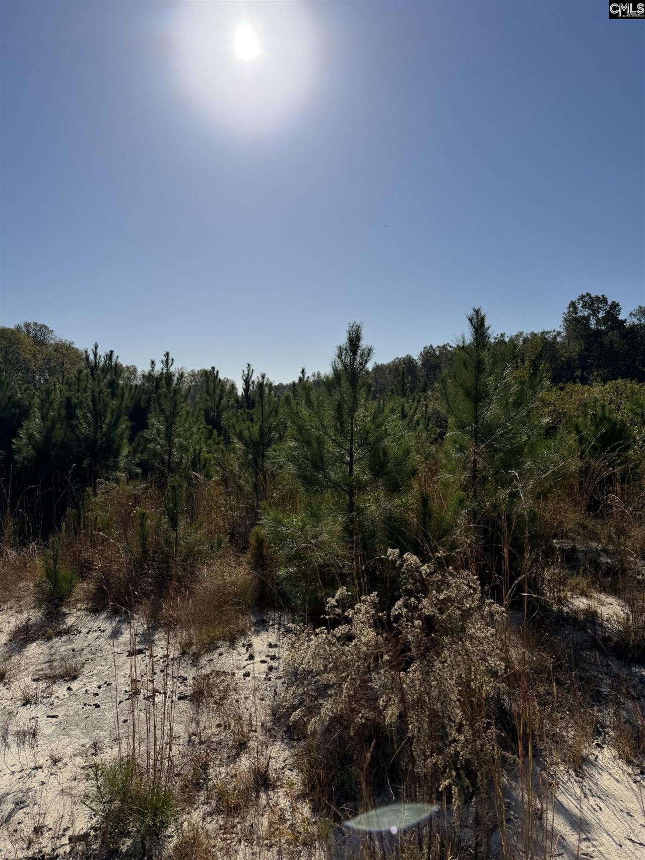 Tbd Platt Springs Rd  Photo 5