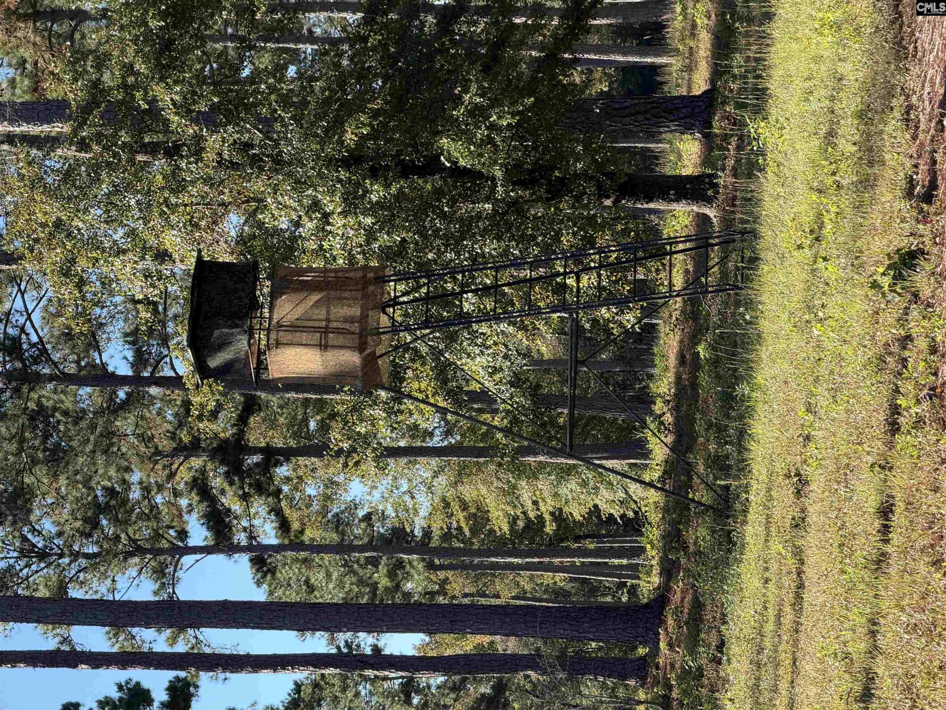 1711 B Saxon Road  Photo 17