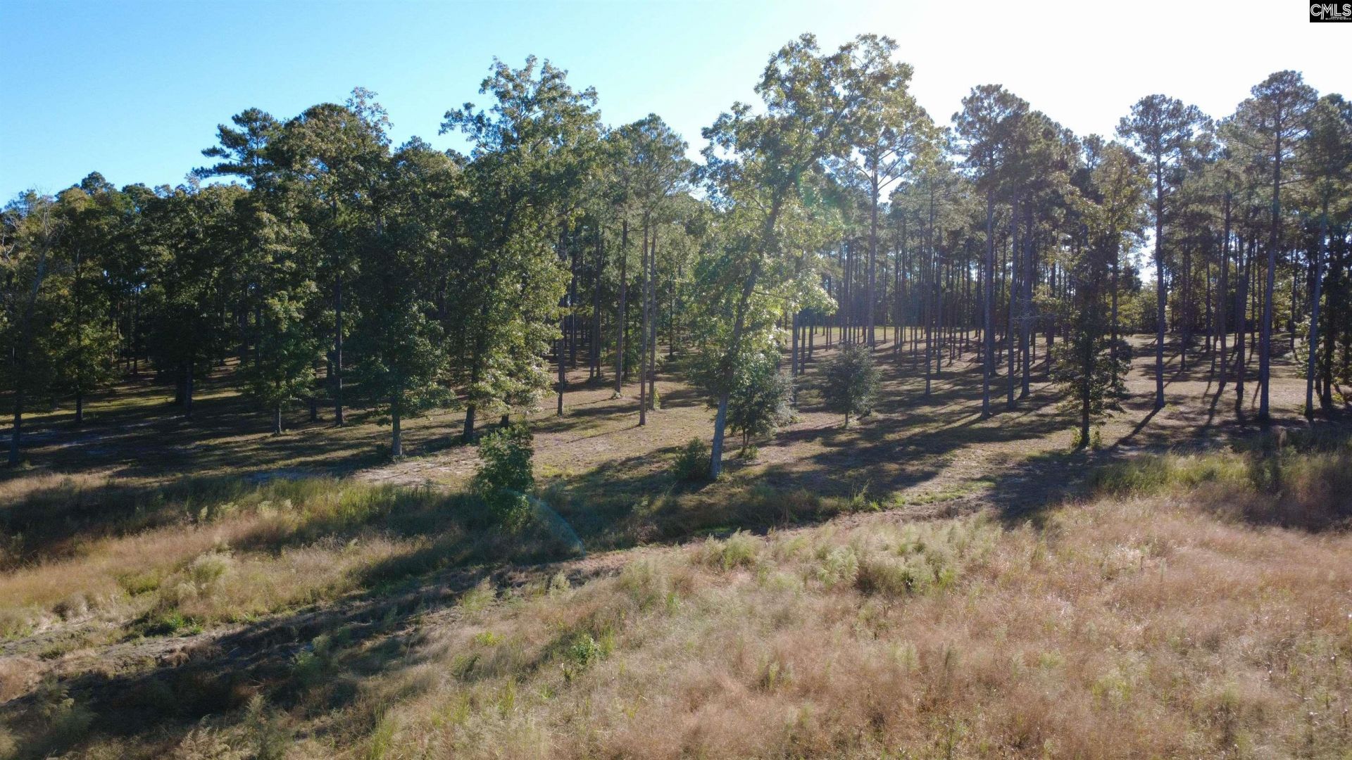 1711 B Saxon Road  Photo 9