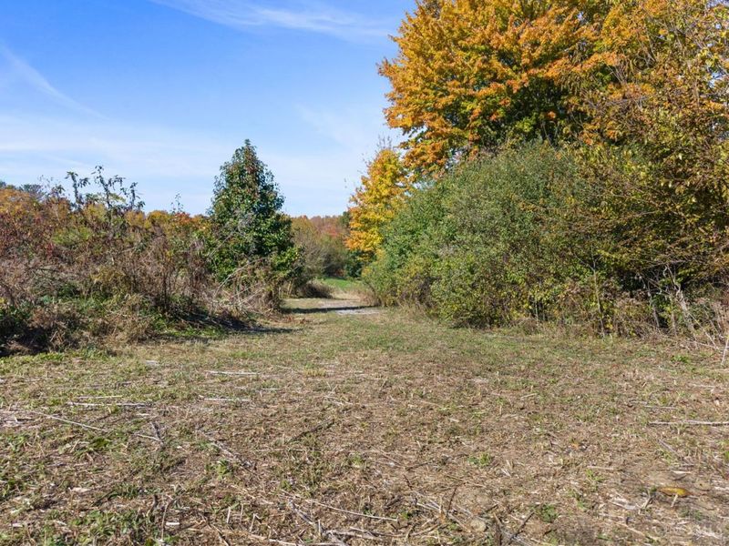 3639 State Route 222, Batavia Township, OH 45103 Photo 3