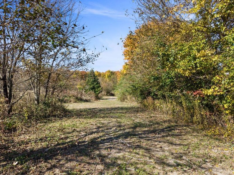 3639 State Route 222, Batavia Township, OH 45103 Photo 5